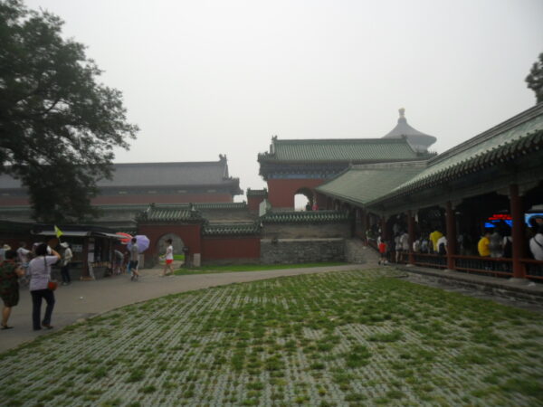 SAM_1147