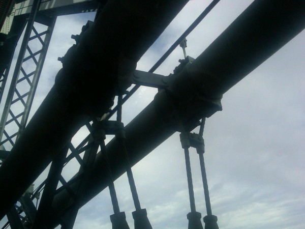 IMG01409-20111128-0922