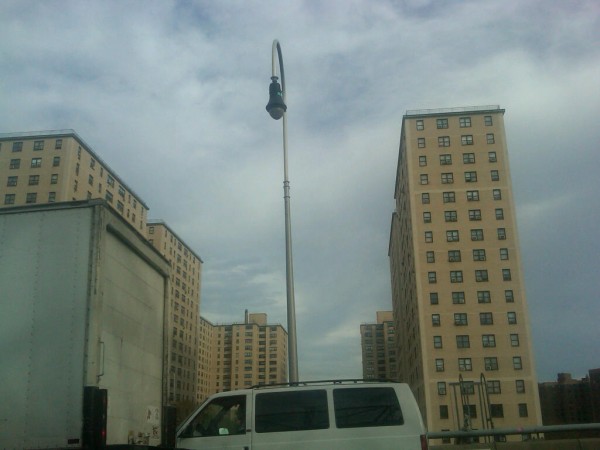IMG01420-20111128-0930