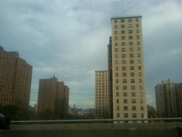 IMG01421-20111128-0930